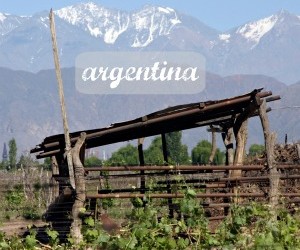12Mar vines shanty mountains widget slide