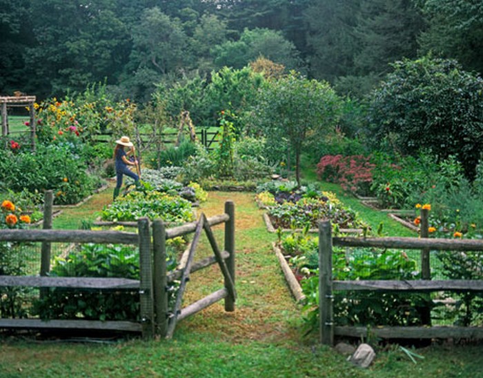 garden001