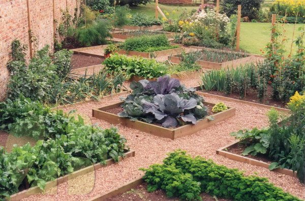 ornamental-vegetable-garden1