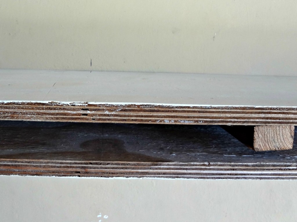 shelf